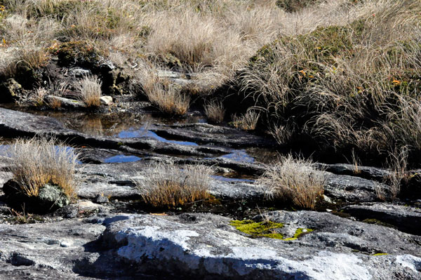 water in the rocks